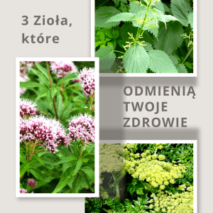 3 zioła, które odmienią Twoje zdrowie! 3 zioła, które odmienią Twoje zdrowie!