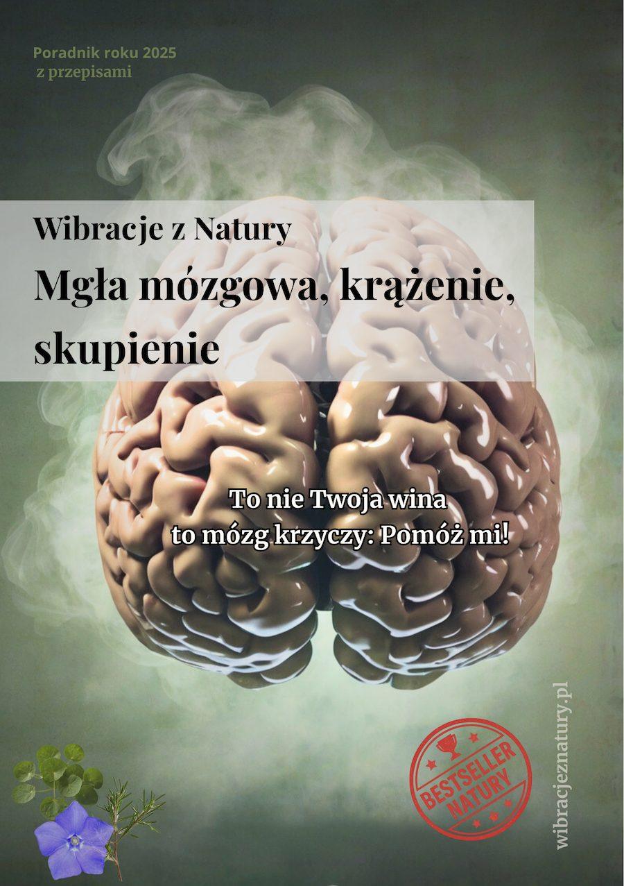 Mgła mózgowa eBook