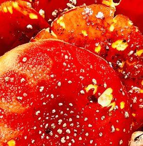 Amanita muscaria – znane właściwości z badań naukowych!