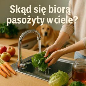 Skąd się biorą pasożyty? I jaka jest prawda.